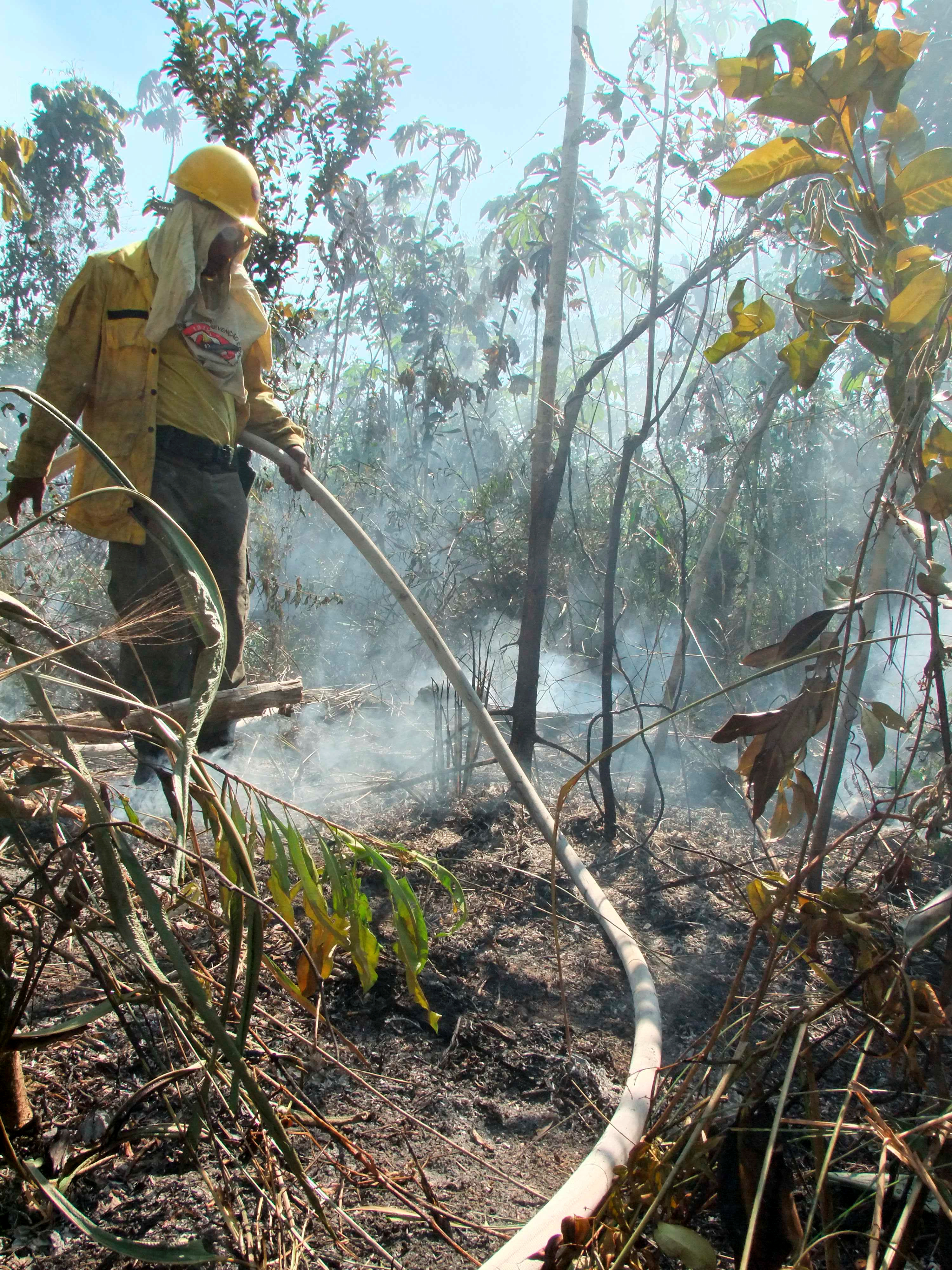 Firefighters and Smoke